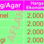 SNACK PUDING AGAR JOGJA 5