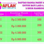 aqiqah jogja – daftar harga paket aqiqah untuk bayi laki2